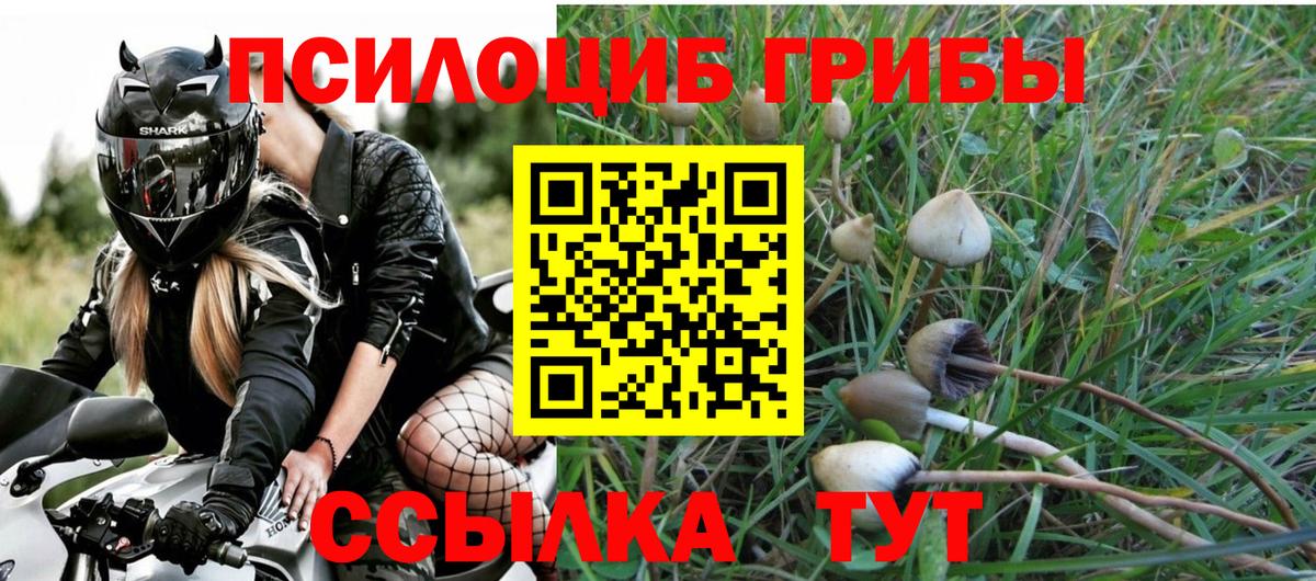 Галлюциногенные грибы прущие грибы Ярцево