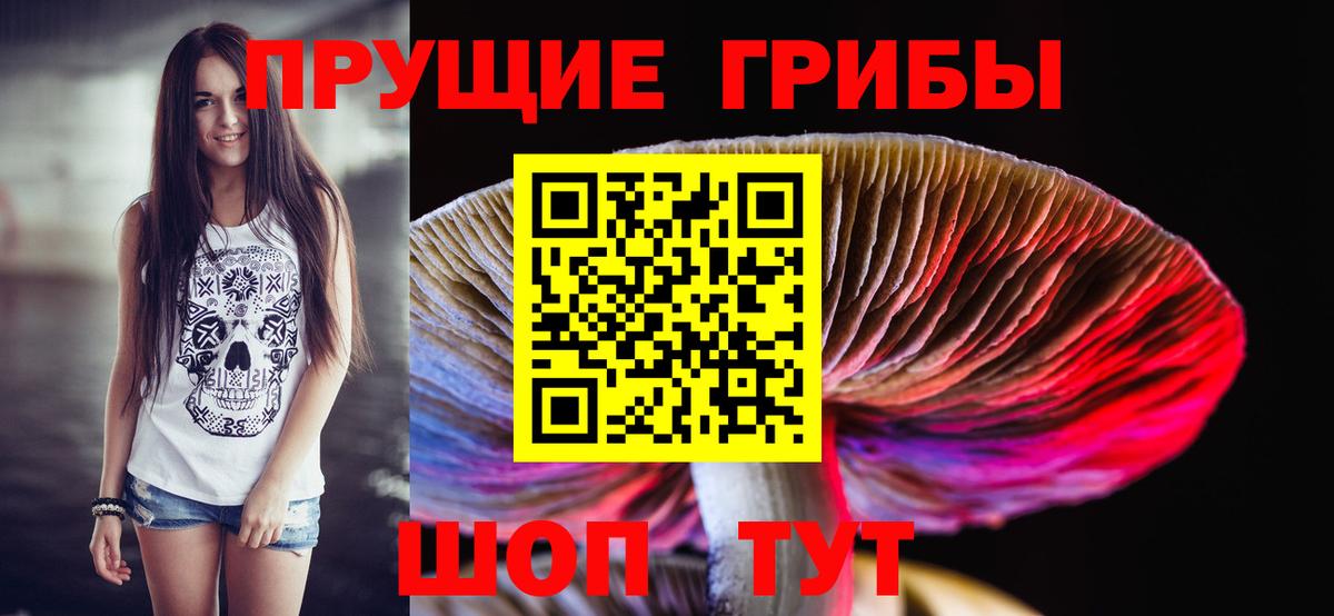 Ярцево  Псилоцибиновые грибы прущие грибы  Вход с VPN 